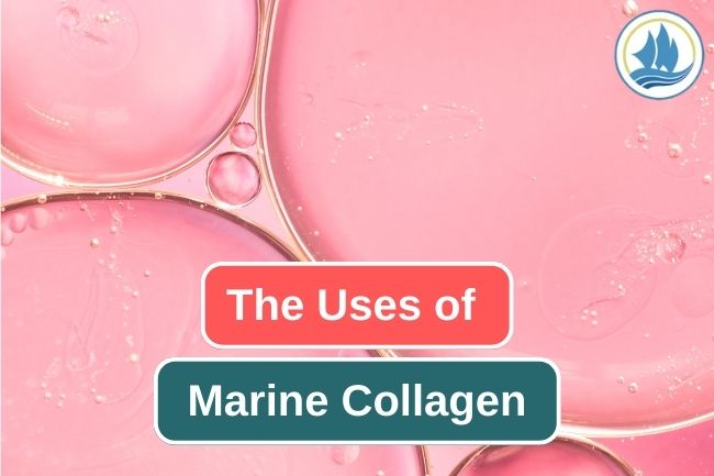 This Is What Marine Collagen Does For Human